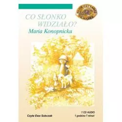 CO SŁONKO WIDZIAŁO? AUDIOBOOK CD MP3