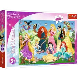 PUZZLE CZARUJĄCE KSIĘŻNICZKI 100 ELEMENTÓW 5+