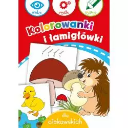 KOLOROWANKI I ŁAMIGŁÓWKI DLA CIEKAWSKICH