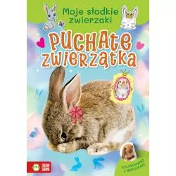 PUCHATE ZWIERZĄTKA. MOJE SŁODKIE ZWIERZAKI. KOLOROWANKI Z NAKLEJKAMI