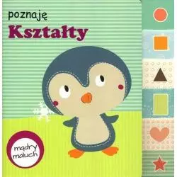 POZNAJĘ KSZTAŁTY MĄDRY MALUCH - Wilga