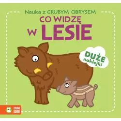CO WIDZĘ W LESIE. NAUKA Z GRUBYM OBRYSEM