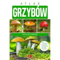 ATLAS GRZYBÓW