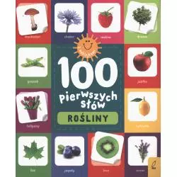 ROŚLINY. 100 PIERWSZYCH SŁÓW
