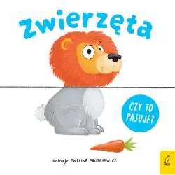 ZWIERZĘTA. CZY TO PASUJE?