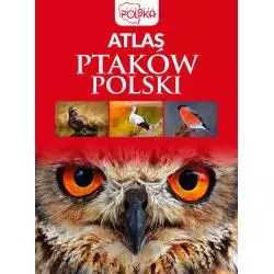 ATLAS PTAKÓW POLSKI Przybyłowicz Anna - Dragon