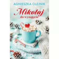 MIKOŁAJ DO WYNAJĘCIA