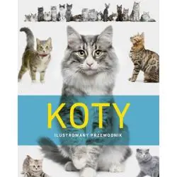 KOTY. ILUSTROWANY PRZEWODNIK