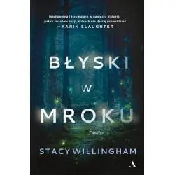 BŁYSKI W MROKU
