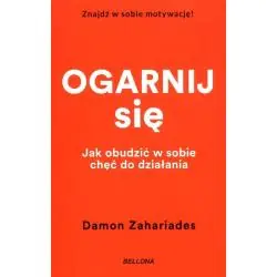 OGARNIJ SIĘ. JAK OBUDZIĆ W SOBIE CHĘĆ DO DZIAŁANIA