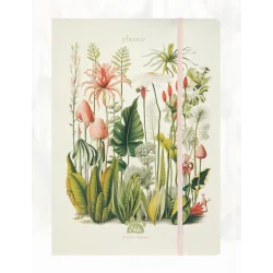 PLANER MIESIĘCZNY Z GUMKĄ I NAKLEJKAMI B5 Z KOLEKCJI „BOTANICA MAGICAE”