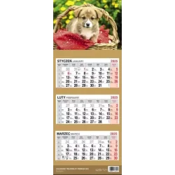 KALENDARZ TRÓJDZIELNY SZCZENIAK 2025