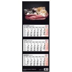 KALENDARZ TRÓJDZIELNY KOCIĘTA 2025