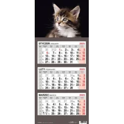 KALENDARZ TRÓJDZIELNY KOT 2025