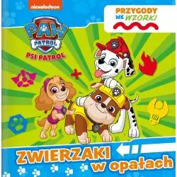 PSI PATROL. ZWIERZAKI W OPAŁACH. PRZYGODY WE WZORKI