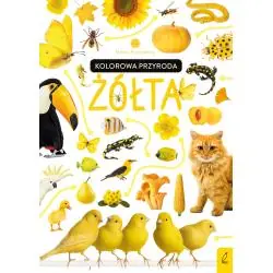ŻÓŁTA KOLOROWA PRZYRODA. MALI PRZYRODNICY