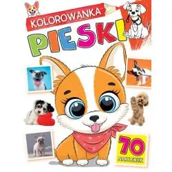 PIESKI. KOLOROWANKA Z NAKLEJKAMI