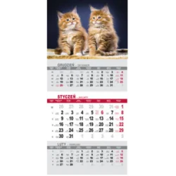 KALENDARZ TRÓJDZIELNY KOTY 2025