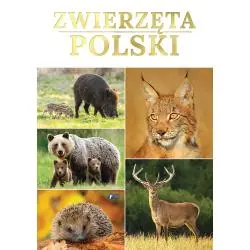 ZWIERZĘTA POLSKI