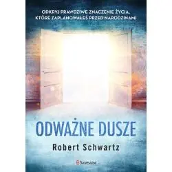 ODWAŻNE DUSZE. ODKRYJ PRAWDZIWE ZNACZENIE ŻYCIA, KTÓRE ZAPLANOWAŁEŚ PRZED NARODZINAMI