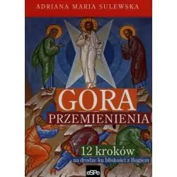 GÓRA PRZEMIENIENIA 12 KROKÓW NA DRODZE KU BLISKOŚCI Z BOGIEM