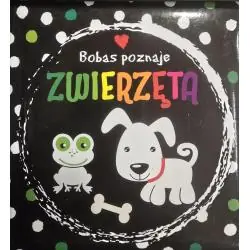 BOBAS POZNAJE ZWIERZĘTA