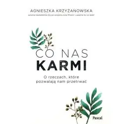 CO NAS KARMI. O RZECZACH, KTÓRE POZWALAJĄ NAM PRZETRWAĆ