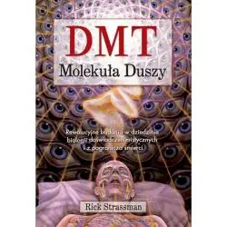 DMT. MOLEKUŁA DUSZY