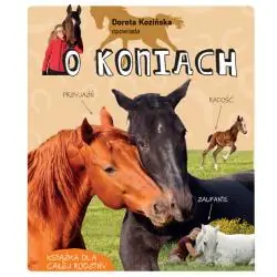 DOROTA KOZIŃSKA OPOWIADA O KONIACH