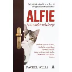 ALFIE KOT WIELORODZINNY