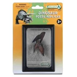 ZĄB TRICERATOPSA 3+