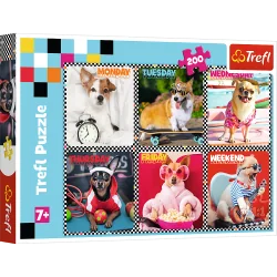 WESOŁE PSY PUZZLE 200 ELEMENTÓW TREFL 7+