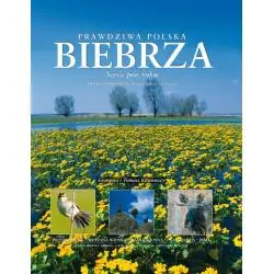 PRAWDZIWA POLSKA BIEBRZA. SZEŚĆ PÓR ROKU