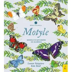 MOTYLE. MODELE 3D. MŁODZI PRZYRODNICY