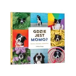GDZIE JEST MOMO? SZUKAJ, ZNAJDŹ, ODKRYWAJ