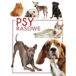 PSY RASOWE