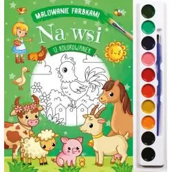 NA WSI. MALOWANIE FARBKAMI