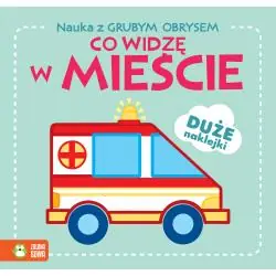 CO WIDZĘ W MIEŚCIE. NAUKA Z GRUBYM OBRYSEM