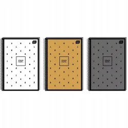 KOŁOZESZYT W KRATKĘ 80 KARTEK INTERDRUK A4