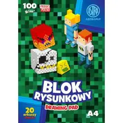 BLOK RYSUNKOWY BIAŁY 20 ARKUSZY A4