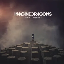 IMAGINE DRAGONS NIGHT VISIONS WINYL
