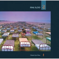 PINK FLOYD A MOMENTARY LAPSE OF REASON WINYL