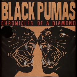 BLACK PUMAS CHRONICLES OF A DIAMOND WINYL