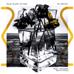 PEJA / SLUMS ATTACK 25 GODZIN CD
