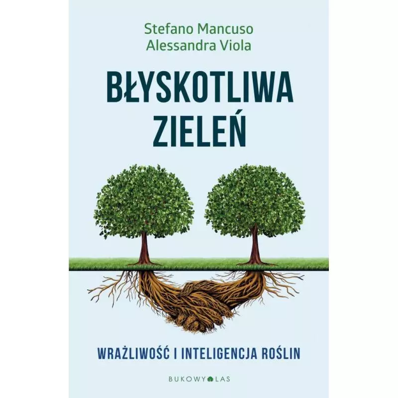 BŁYSKOTLIWA ZIELEŃ. WRAŻLIWOŚĆ I INTELIGENCJA ROŚLIN - Bukowy las