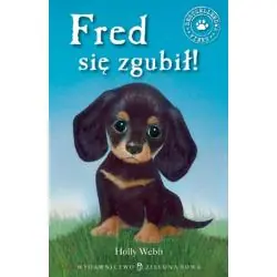 FRED SIĘ ZGUBIŁ. ZAOPIEKUJ SIĘ MNĄ