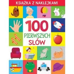100 PIERWSZYCH SŁÓW. KSIĄŻKA Z NAKLEJKAMI 2+