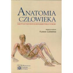ANATOMIA CZŁOWIEKA