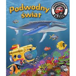 SAMOCHODZIK FRANEK PODWODNY ŚWIAT
