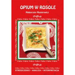 OPIUM W ROSOLE MAŁGORZATY MUSIEROWICZ. STRESZCZENIE, ANALIZA, INTERPRETACJA